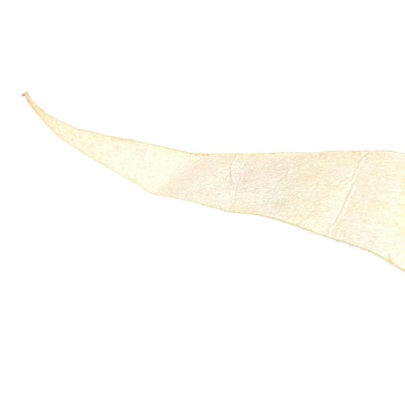 Vintage HTF Kentucky Pennant Souvenir 27” Made In USA RARE DESIGN - Picture 12 of 16